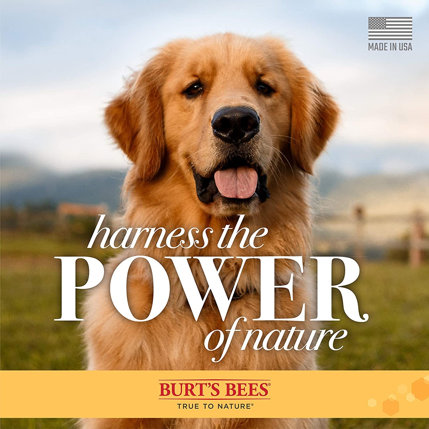 for Pets Naturally Derived Skin Soothing Shampoo with Honey - Dog Shampoo for All Dogs and Puppies - Safe for Dogs with Dry and Sensitive Skin - Made in USA, 16 Ounces