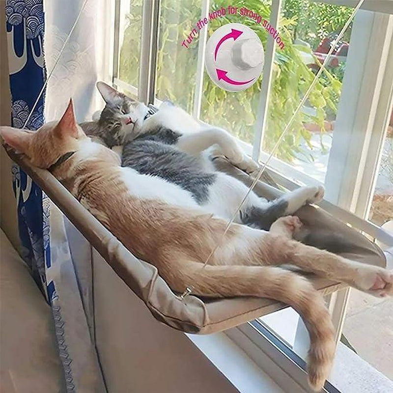 Cat Window Perch Purple Hammock Seat, Large Cat Purple Hammocks Bed for Indoor Cats Resting Seat Safety, Heavy Duty Suction Cups