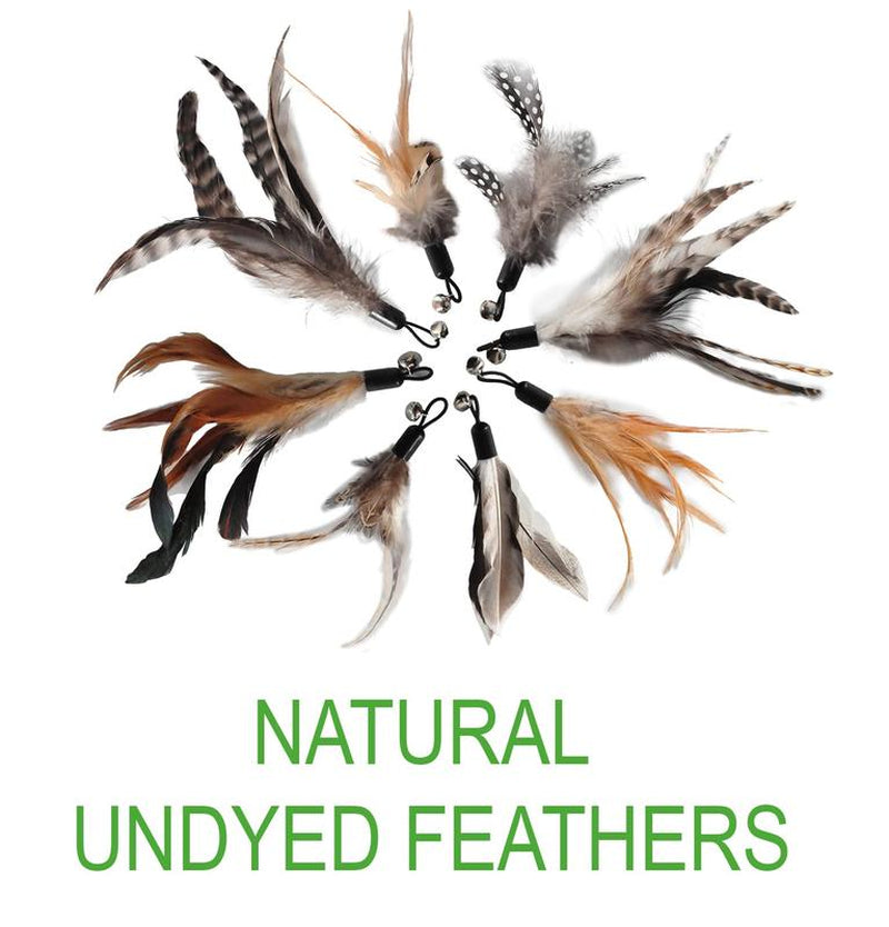 Chemical-Free Dyeing Cat Feather Toys for Indoor Cats - Include Cat Wand and Natural Feather Refills