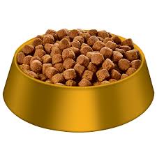 Dog Food