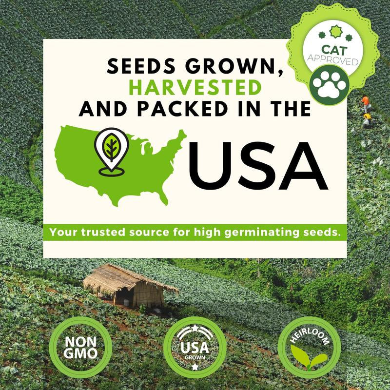 Cat Grass Seeds Variety Pack - Alfalfa, Oat, and Cat Grass