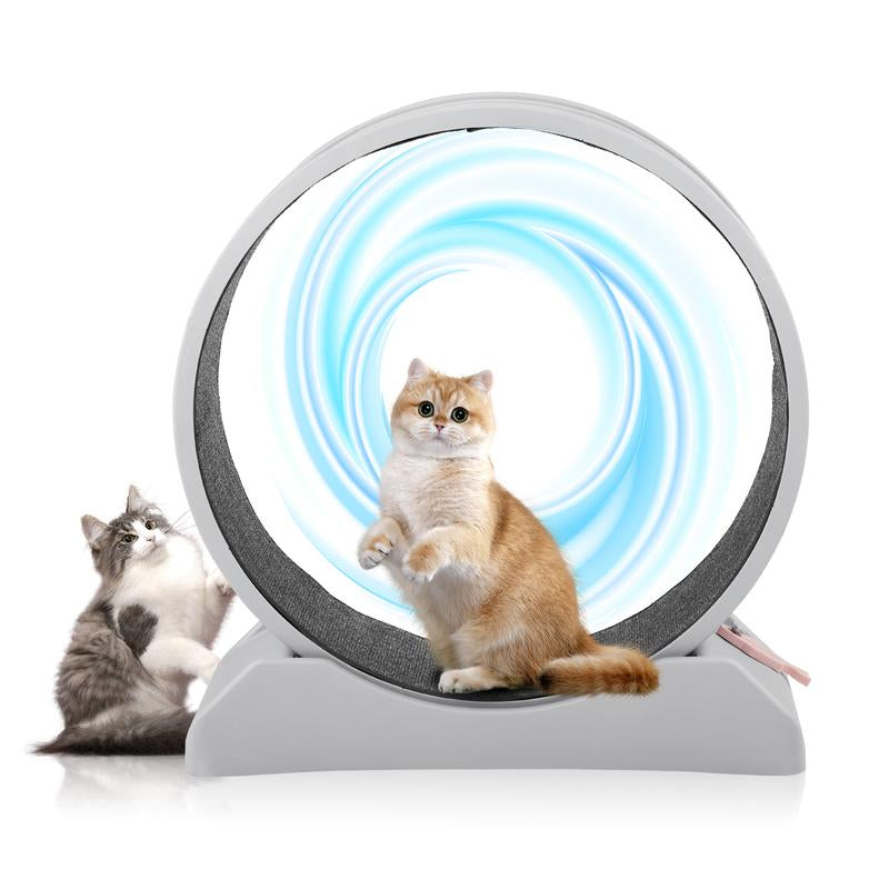 REBUYHOME Cat Exercise Wheel, 31.5 Inch Cat Wheels for Indoor Cats, Cat Treadmill Wheel Exerciser with Carpeted Runway, Plastic Cat Running Wheel for Cats Daily Exercise and Weight Loss, Grey