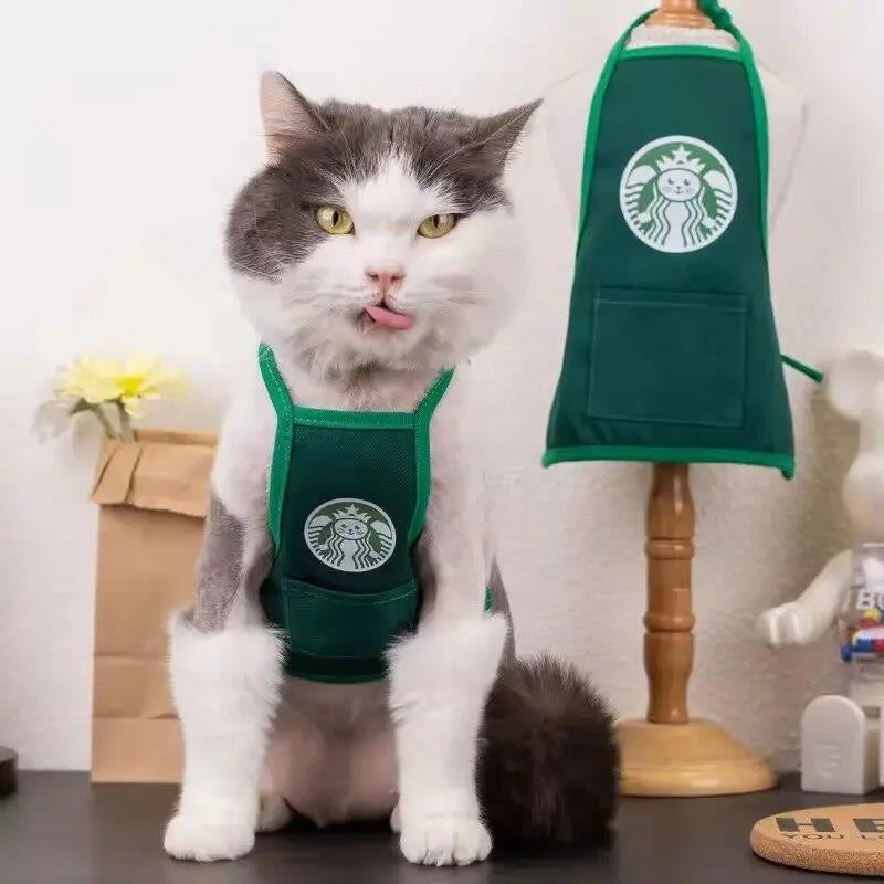 Adorable Catbucks Cat Clothes: Cute and Funny Apparel for Your Furry Friend
