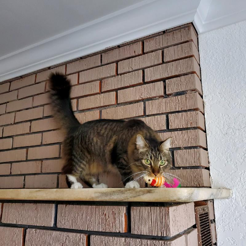 10 Interactive Sisal Mice with Rattle Sound, Play Catch Teaser Mouse Toy for Cat