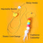 5 PCS Interchangeable Teaser Wand Cat Toy, Hanging Cat Feather Toys, Telescopic Interactive Cat Toys for Indoor Cats