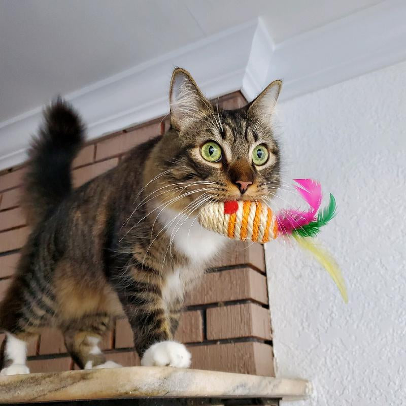10 Interactive Sisal Mice with Rattle Sound, Play Catch Teaser Mouse Toy for Cat