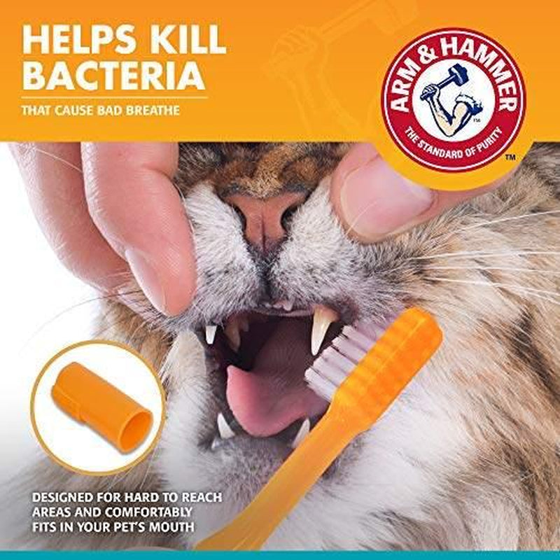Arm & Hammer Pet Dental Kit for Cats | Tasty Tuna | 3-Piece Set