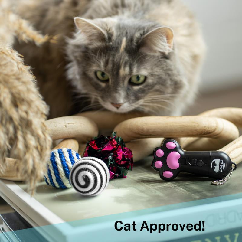 USB Rechargeable Cat Laser Pointer for Laser Toy and Toy for Cats Pet Gift