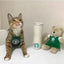 Adorable Catbucks Cat Clothes: Cute and Funny Apparel for Your Furry Friend