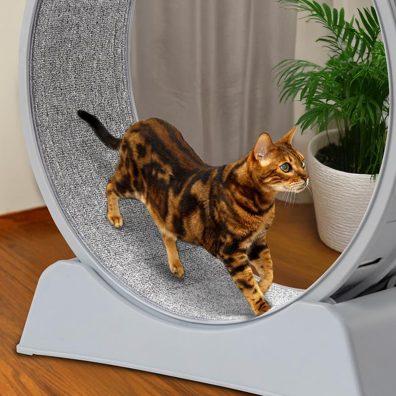 REBUYHOME Cat Exercise Wheel, 31.5 Inch Cat Wheels for Indoor Cats, Cat Treadmill Wheel Exerciser with Carpeted Runway, Plastic Cat Running Wheel for Cats Daily Exercise and Weight Loss, Grey