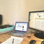 Desktop Cat Lounge
