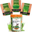 Cat Grass Seeds Variety Pack - Alfalfa, Oat, and Cat Grass