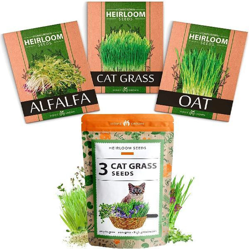Cat Grass Seeds Variety Pack - Alfalfa, Oat, and Cat Grass