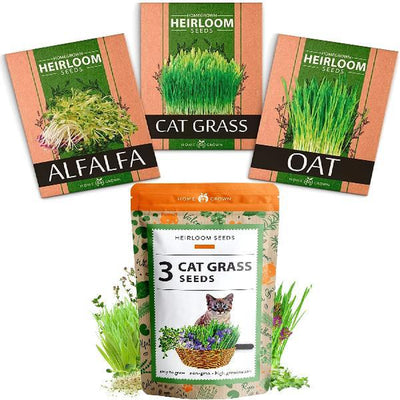 Cat Grass Seeds Variety Pack - Alfalfa, Oat, and Cat Grass
