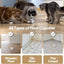 Fishbone Rolling Ball Pet Toy Cat Toy Interactive Indoor Pet Toy Kicker with Catnip Kitten Electric Cat Toy Ball 2 Accessories USB Rechargeable