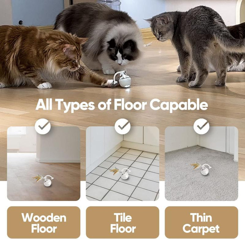 Fishbone Rolling Ball Pet Toy Cat Toy Interactive Indoor Pet Toy Kicker with Catnip Kitten Electric Cat Toy Ball 2 Accessories USB Rechargeable