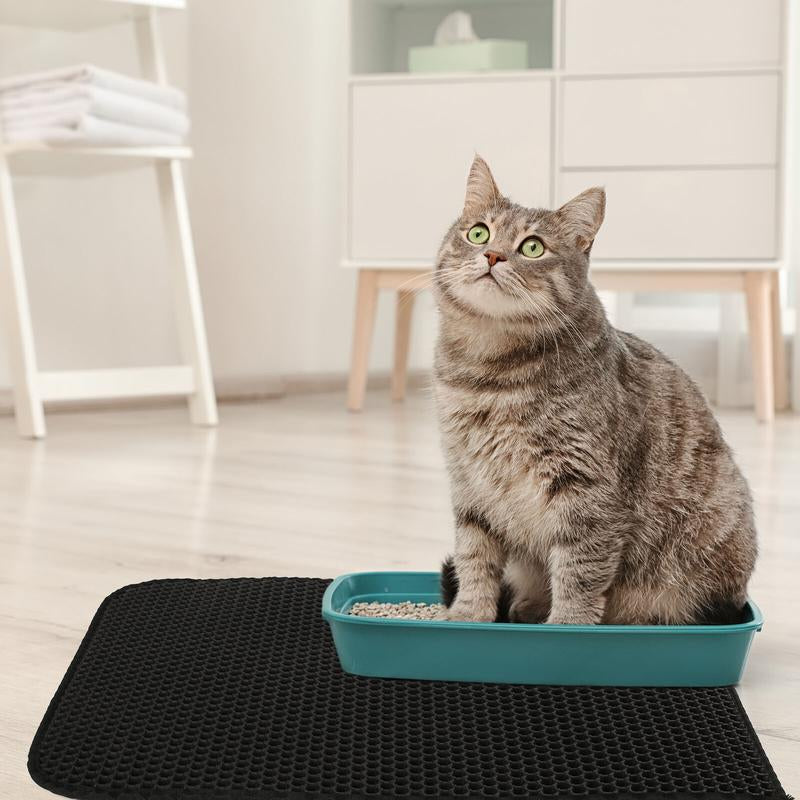 Cat Litter Trapping Mat Double Layer Kitty Litter Trapper Pad Non-Slip 24X15 In