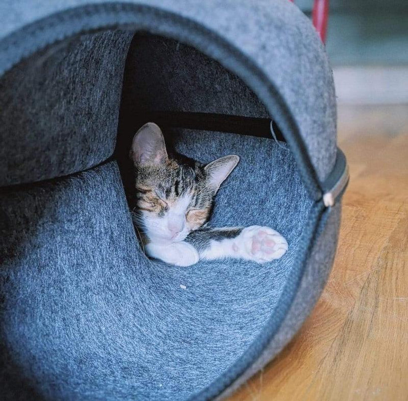 Donut! Cat Hideaway Cave for Privacy, Comfort, and Playtime Cat Tunnel