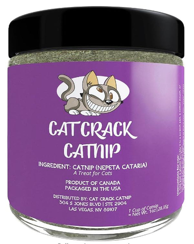 Cat Nip, Catnip Store, Cat Community, Pet Supply