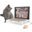Cat Scratch Laptop ,Send Your Cat to Work Interactive Cat Toys, Cardboard Scratch Toy for Indoor Cats & Kittens Novelty Cat Gifts