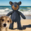 Dog Companion for Heavy Chewers- New Indestructible Robust Bear Dog Toy, Resistant Squeaky Dog Toys for Heavy Chewers