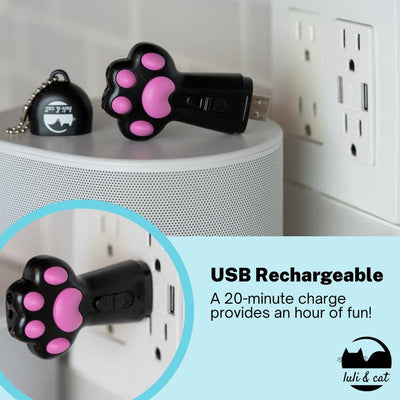 USB Rechargeable Cat Laser Pointer for Laser Toy and Toy for Cats Pet Gift