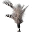 Chemical-Free Dyeing Cat Feather Toys for Indoor Cats - Include Cat Wand and Natural Feather Refills