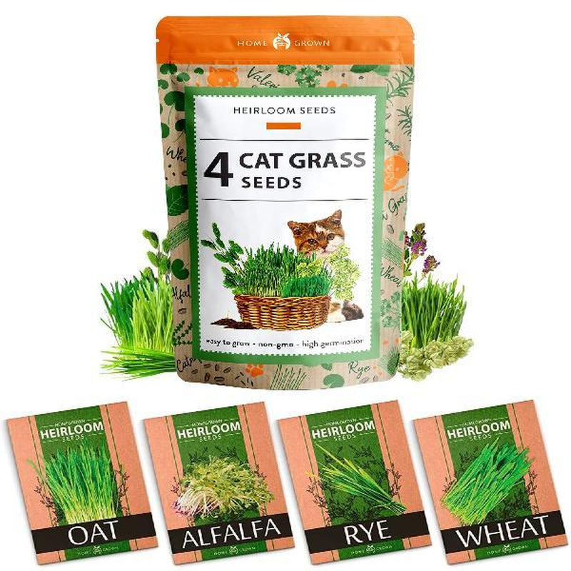 Cat Grass Seeds Variety Pack - Alfalfa, Oat, and Cat Grass