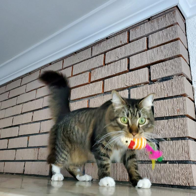 10 Interactive Sisal Mice with Rattle Sound, Play Catch Teaser Mouse Toy for Cat