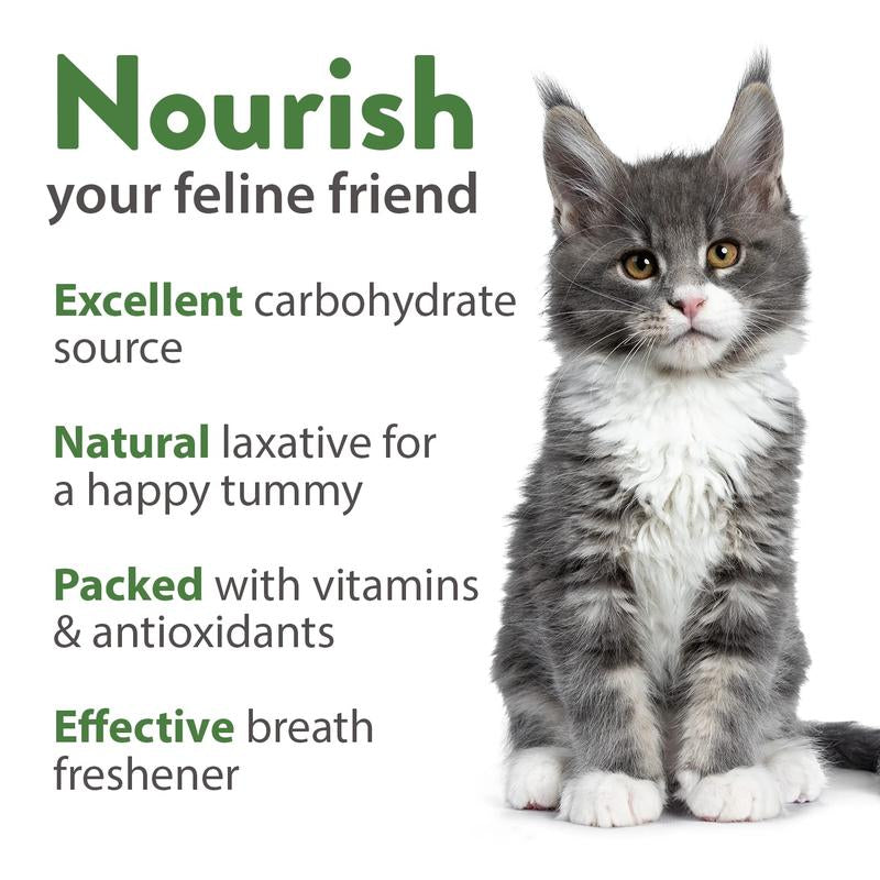 Cat Grass Seeds Variety Pack - Alfalfa, Oat, and Cat Grass