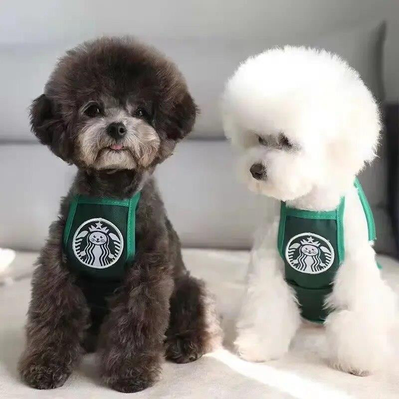 Adorable Catbucks Cat Clothes: Cute and Funny Apparel for Your Furry Friend