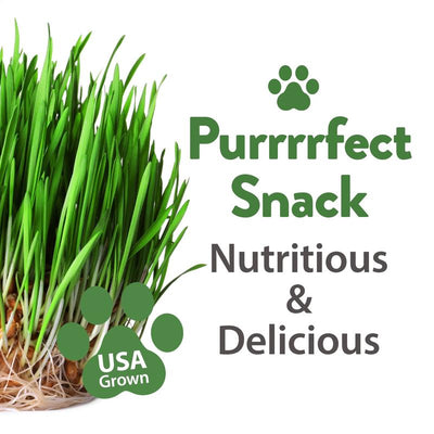 Cat Grass Seeds Variety Pack - Alfalfa, Oat, and Cat Grass