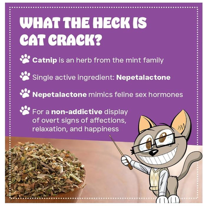 Cat Nip, Catnip Store, Cat Community, Pet Supply