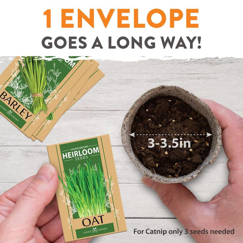Cat Grass Seeds Variety Pack - Alfalfa, Oat, and Cat Grass