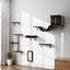 [Springtok] 5Pcs Wall Mountain Cat Shelves,Cat Condo,Cat Bed, Cat Tree