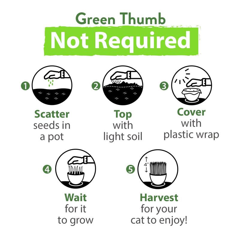 Cat Grass Seeds Variety Pack - Alfalfa, Oat, and Cat Grass