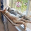 Cat Window Perch Purple Hammock Seat, Large Cat Purple Hammocks Bed for Indoor Cats Resting Seat Safety, Heavy Duty Suction Cups