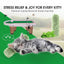 8-In-1 Cat Golf Table Set: Cat Tree Tower with Scratching Post, Catnip Pillows, Feather Wand, Feeder & Furniture for Indoor Cat Scratching Ramp