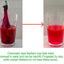 Chemical-Free Dyeing Cat Feather Toys for Indoor Cats - Include Cat Wand and Natural Feather Refills