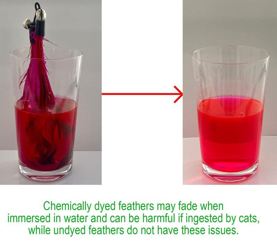 Chemical-Free Dyeing Cat Feather Toys for Indoor Cats - Include Cat Wand and Natural Feather Refills
