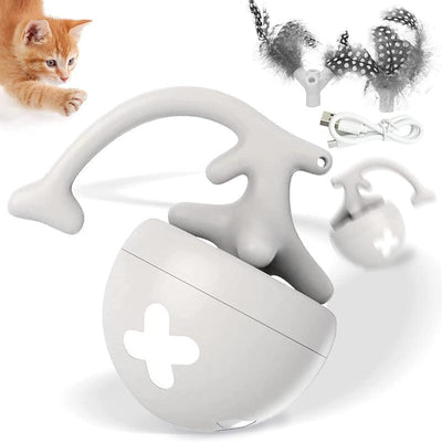 Fishbone Rolling Ball Pet Toy Cat Toy Interactive Indoor Pet Toy Kicker with Catnip Kitten Electric Cat Toy Ball 2 Accessories USB Rechargeable