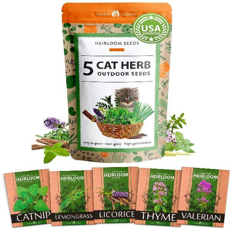 Cat Grass Seeds Variety Pack - Alfalfa, Oat, and Cat Grass
