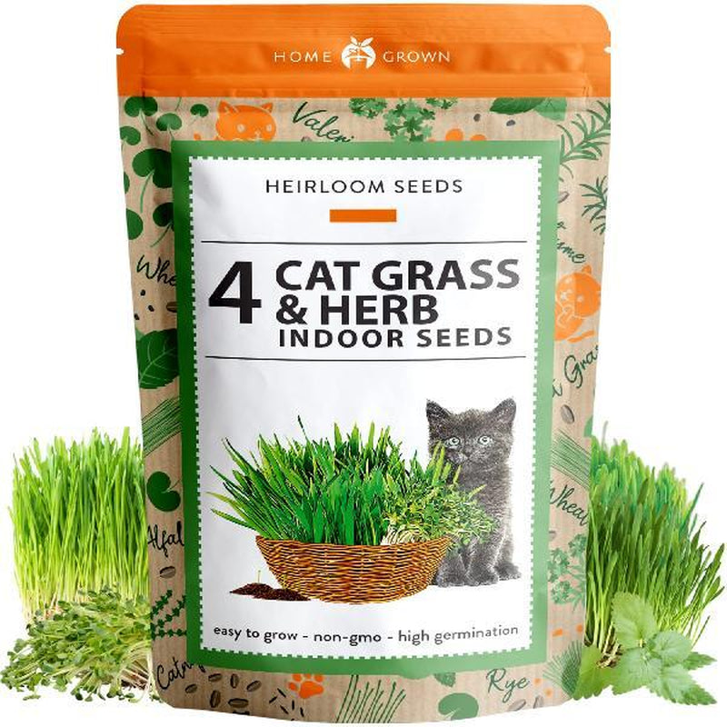 Cat Grass Seeds Variety Pack - Alfalfa, Oat, and Cat Grass