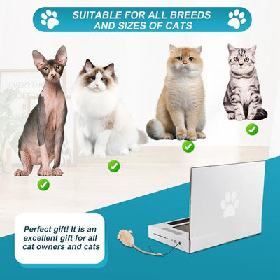 Cat Scratch Laptop ,Send Your Cat to Work Interactive Cat Toys, Cardboard Scratch Toy for Indoor Cats & Kittens Novelty Cat Gifts