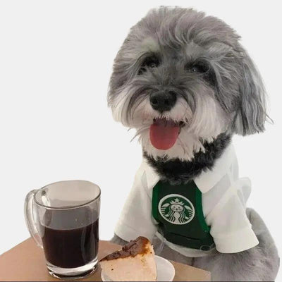 Adorable Catbucks Cat Clothes: Cute and Funny Apparel for Your Furry Friend