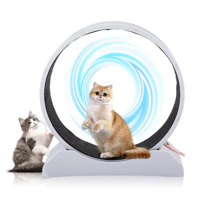 REBUYHOME Cat Exercise Wheel, 31.5 Inch Cat Wheels for Indoor Cats, Cat Treadmill Wheel Exerciser with Carpeted Runway, Plastic Cat Running Wheel for Cats Daily Exercise and Weight Loss, Grey
